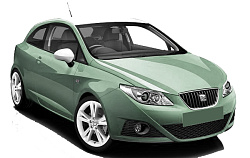Seat Ibiza 1.4 16V (AUB/BBZ)